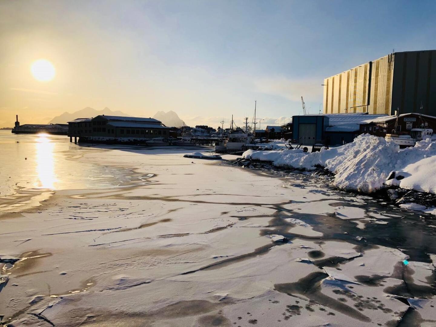 Nora'S Waterfront Cabin Svolvær Kültér fotó